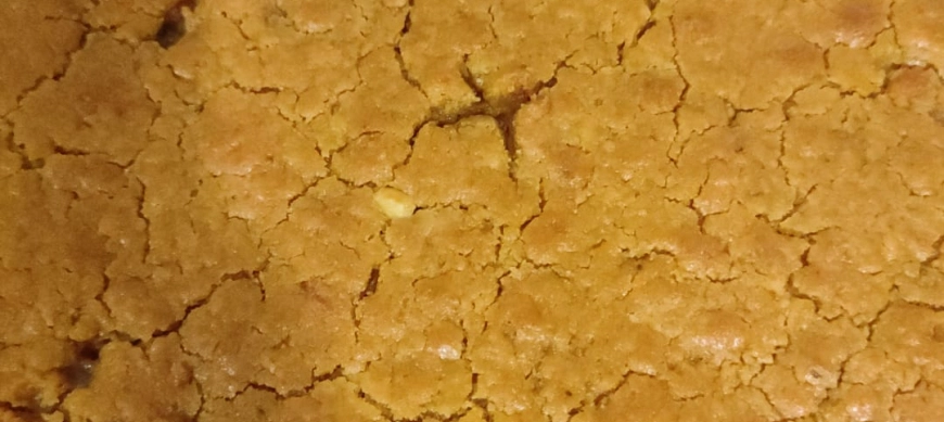 COCA AMB TONYINA SIN GLUTEN