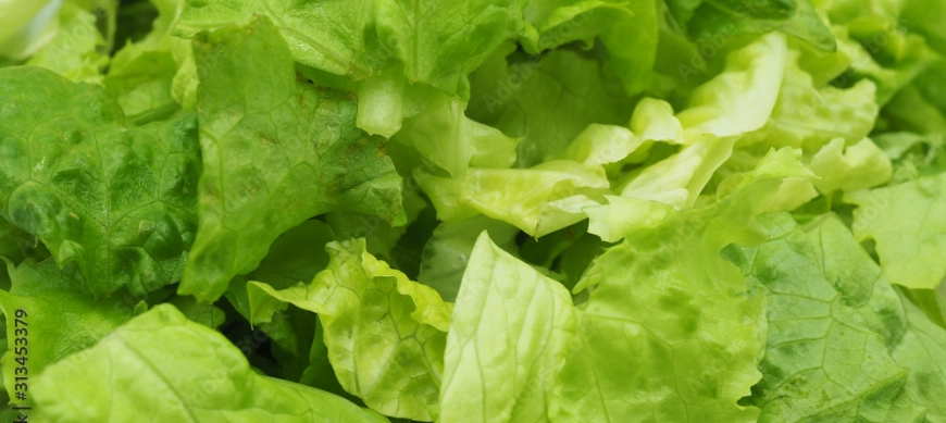 CORTAR Y LAVAR LECHUGA THERMOMIX