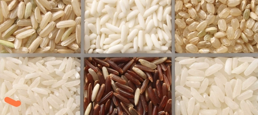 TE GUSTA EL ARROZ? ESTE ARTICULO TE INTERESA!