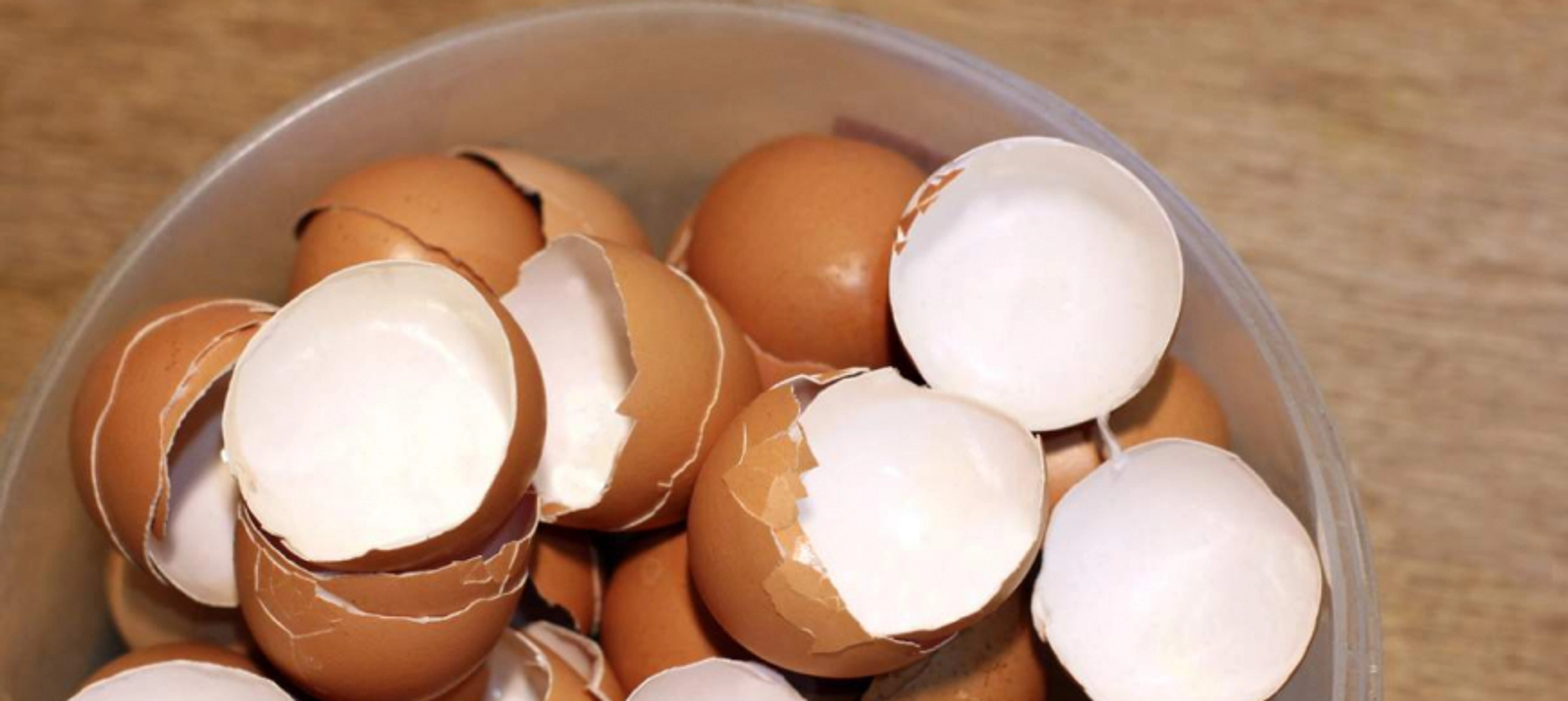 DESCUBRE EL TRUCO CASERO QUE TE SORPRENDERÁ Y MANTENDRÁ TU THERMOMIX COMO EL PRIMER DÁA.