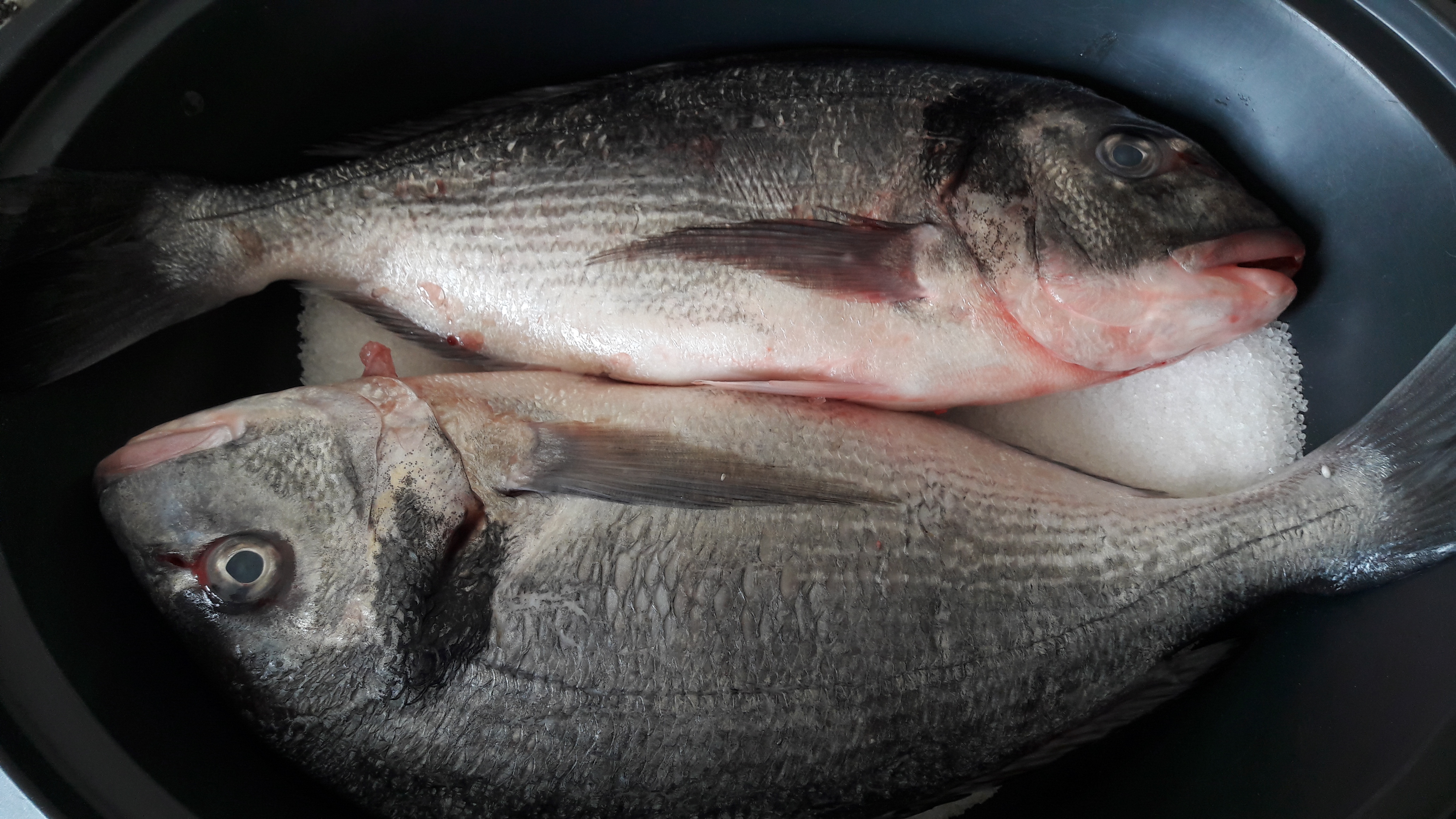 DORADA a LA SAL - Pescados y mariscos - Blog de ANGELINA GINER LA