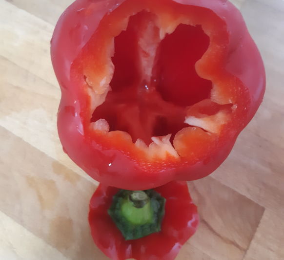 Bajoques farcides (pimientos rellenos)