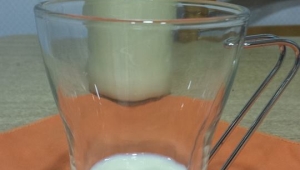 LECHE CONDENSADA