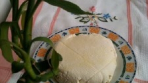 Queso Ricotta